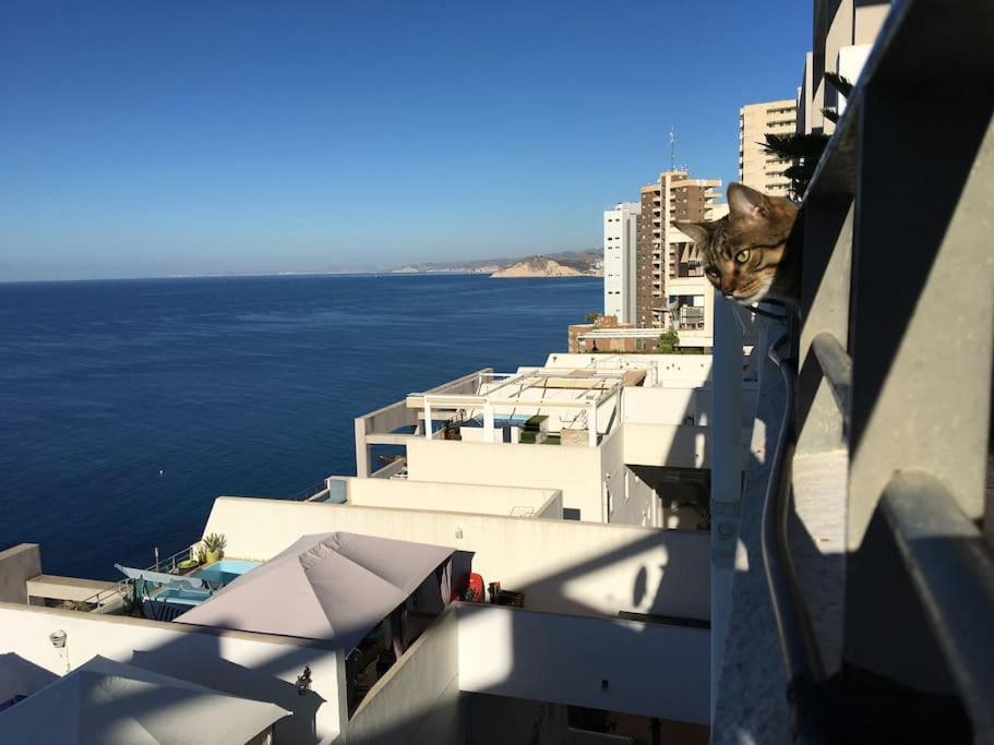 Piso En La Primera Linea Del Mar Con 2 Dormitorios Benidorm Eksteriør bilde