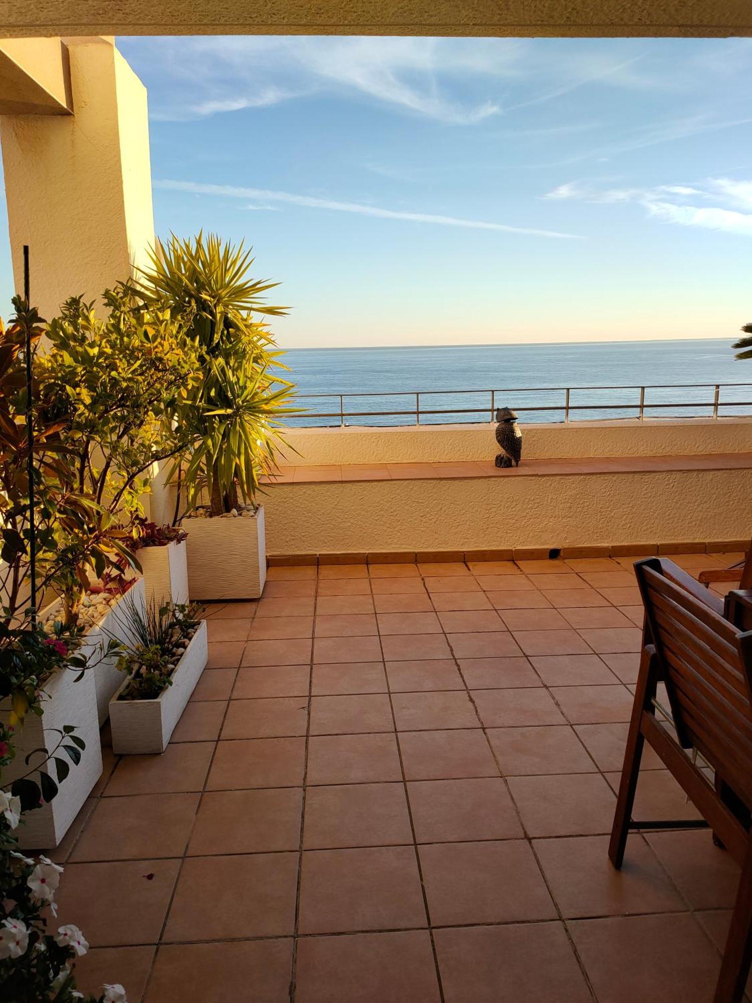 Piso En La Primera Linea Del Mar Con 2 Dormitorios Benidorm Eksteriør bilde
